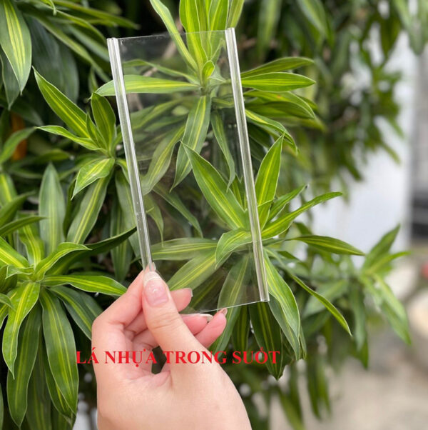 Vách ngăn trong suốt